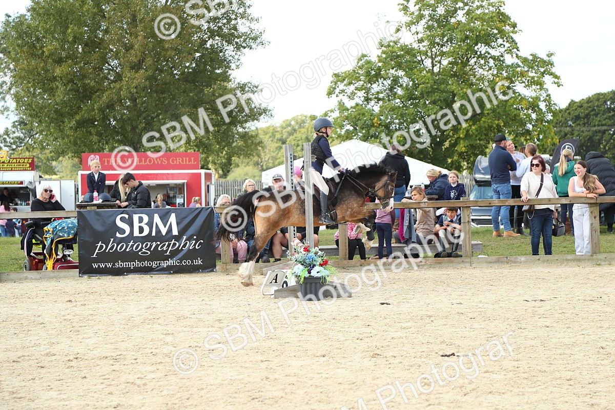 SBM_39489 - J6 - Junior Pony 55cm Championships
