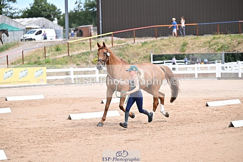 250716-130838-00355 - Trot Up 12.30 to 1.30