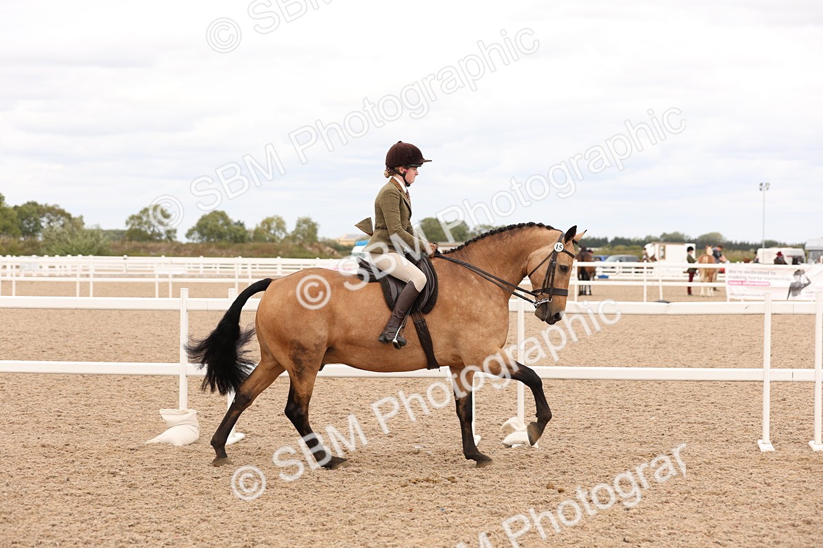 SBM_17212 - Class 213 - Ridden Hunter - Large