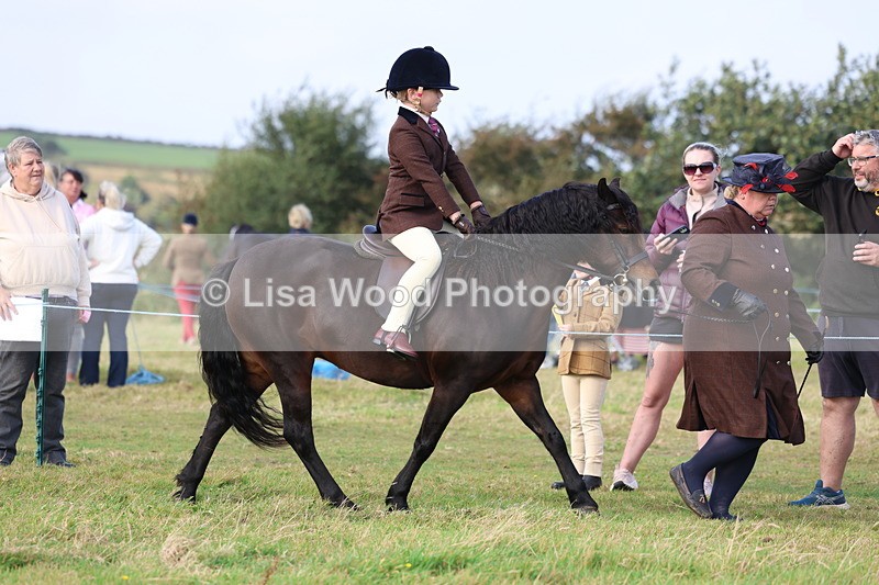 3E7A3414 - Class 2: Lead rein