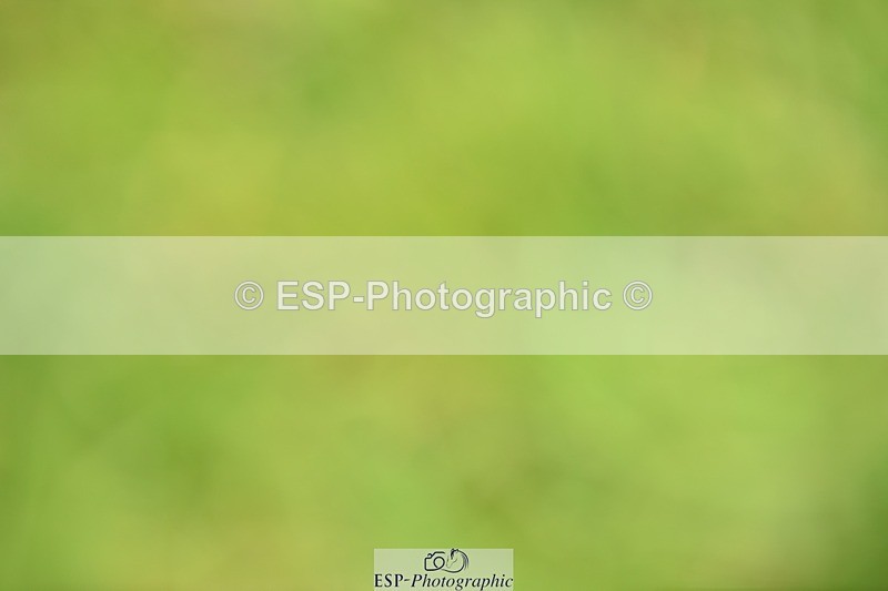 240605-132536-00432 - Cls 5 Elementary 43