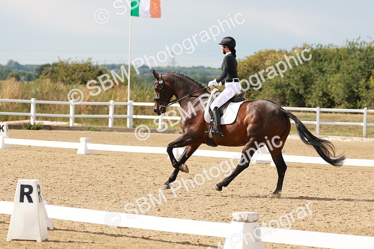 SBM_002474 - Class 11 - Medium 6