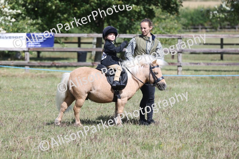 20250831-2665 - Class 17 - Lead Rein Pony