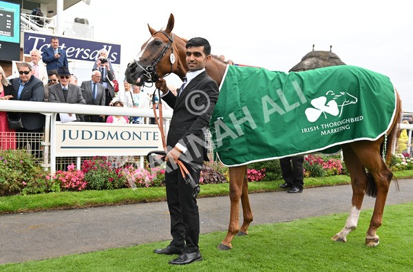 200825-259 Star Of Mehmas - Race 6 4.45pm IRE-Incentive, It Pays To Buy Irish Fillies' Handicap