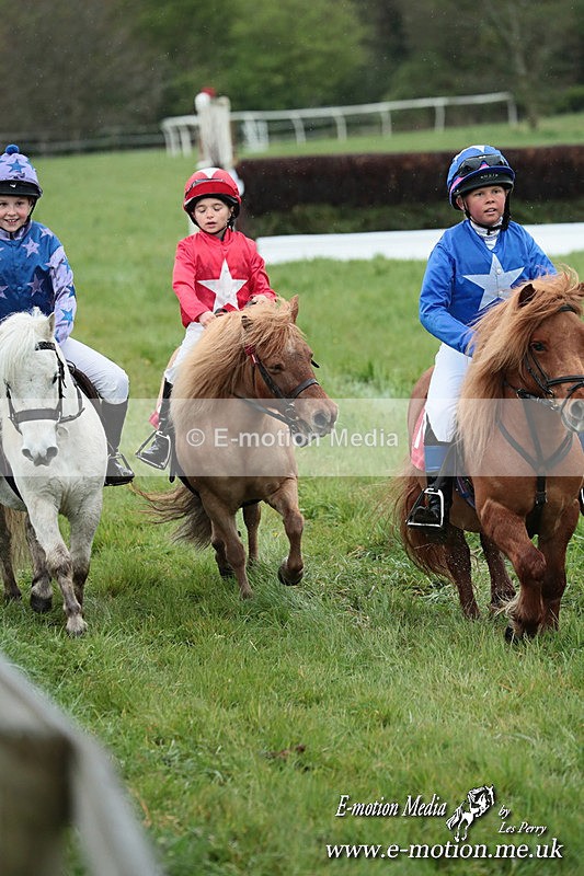 SHETPR 210425 248 - Shetland Ponies Paxford Races 21/04/25
