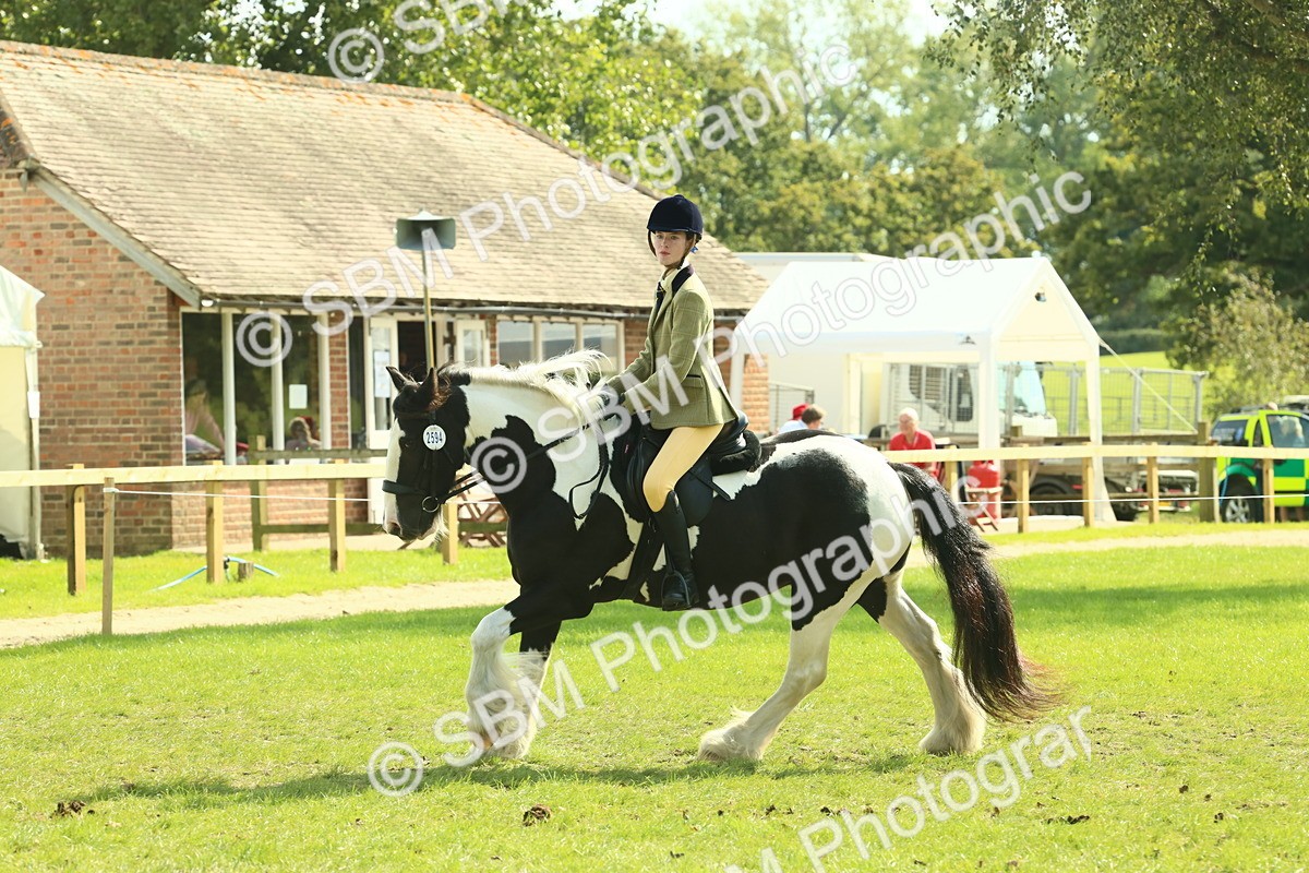 SBM_67599 - S56 - Coloured Pony Ridden