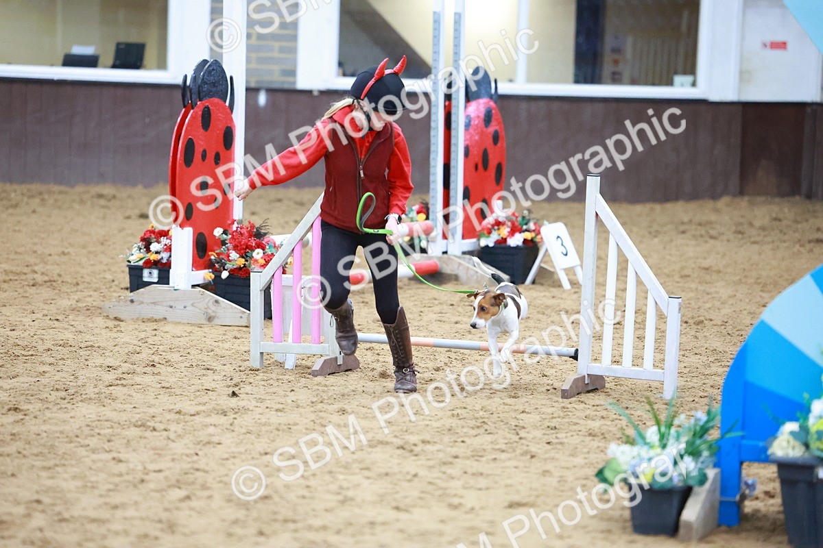 SBM_002106 - Class 3 - Horse & Hound (60cm)