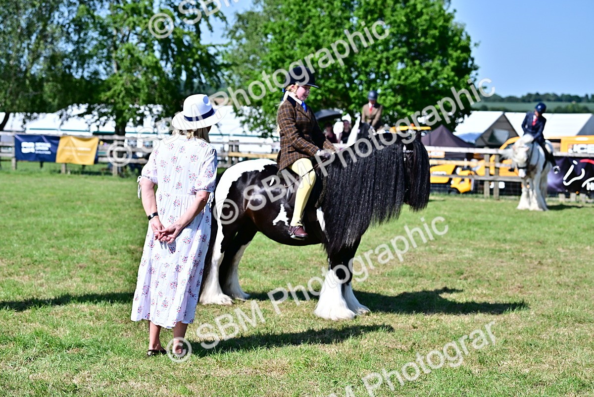 SBM_19404 - Class 101-102 - BSPS LIHS Performance Coloured Horse/Pony