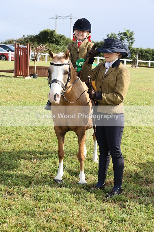 JPP_0459 - Class 14: Cornish Combination Leading Rein