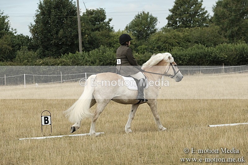 _PJP5746 - Dressage Classes BVRC Show 2018