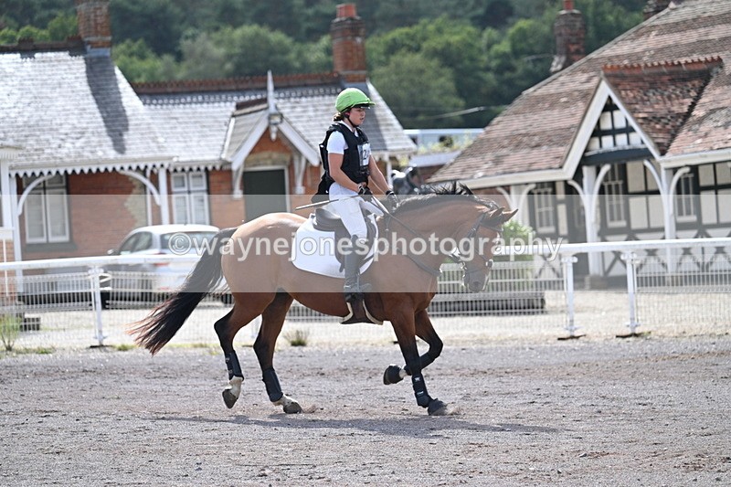 WJ7_0939 - Time 12:02 to 12:30