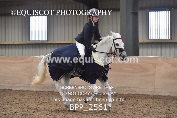 BPP_2561 - CLASS 16 Pony BritiNovice / 0.80m Open