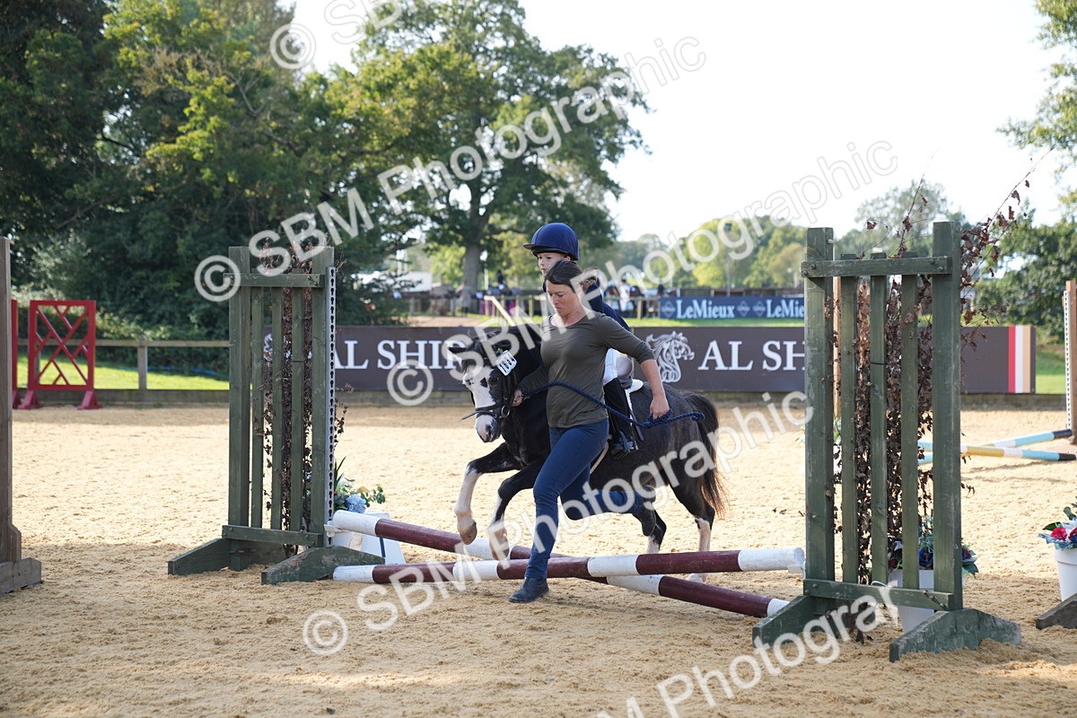 SBM_61445 - J1 - Mini Tour Junior Pony Lead Rein 30cm Championship
