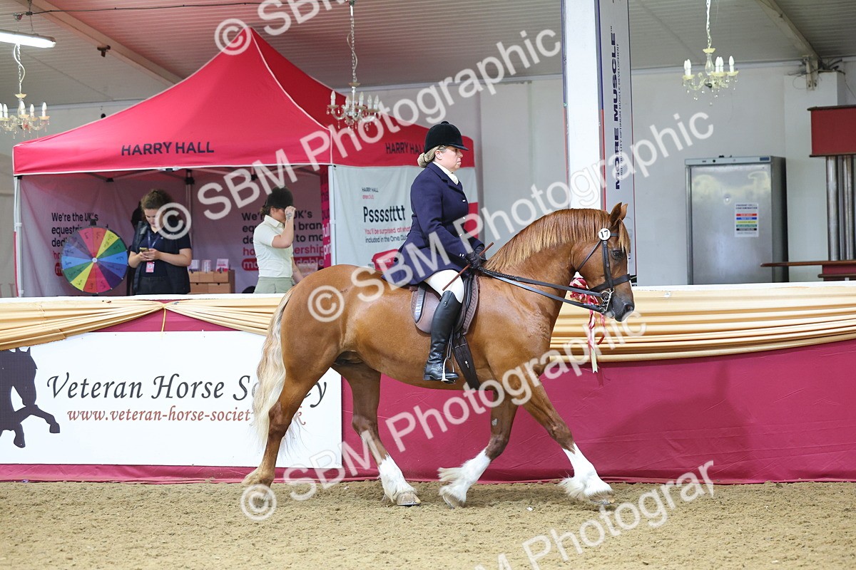 SBM_24490 - Class 906 - Supreme Final - Ridden Pre Vet