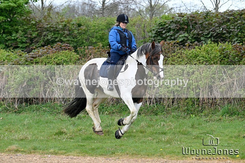 WJ7_3562 - Edited examples