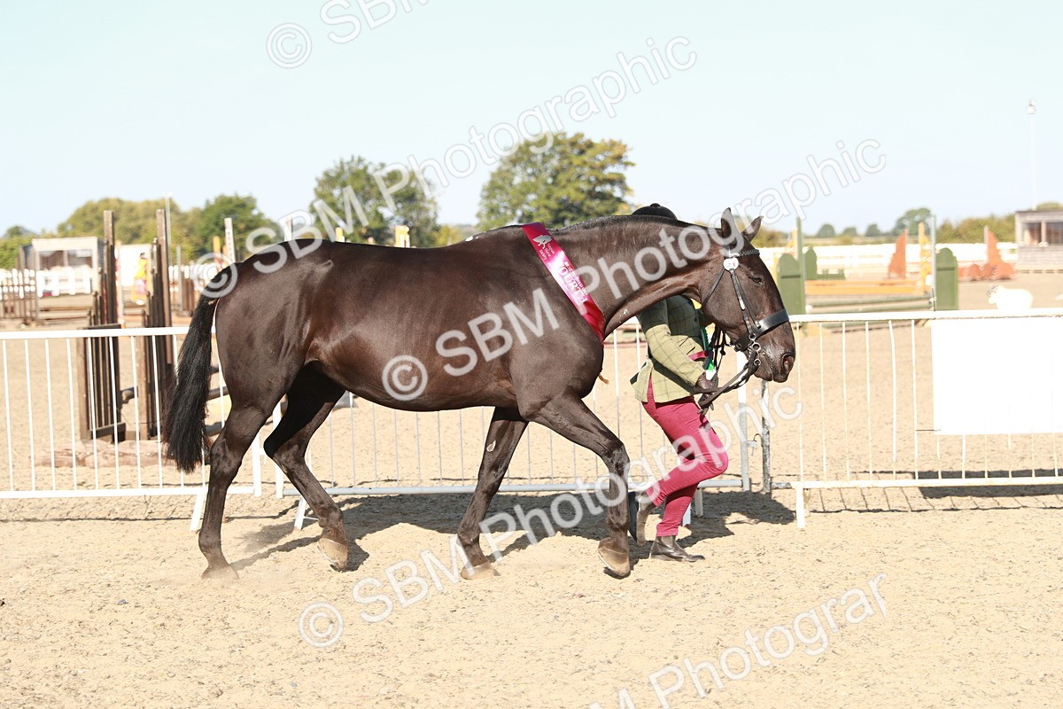 SBM_00178 - Class 40 Best Turned Out IH