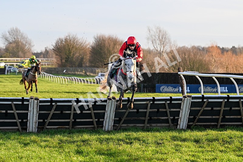 161225-Race 5-Somebodycomegether-8765 - Race 5