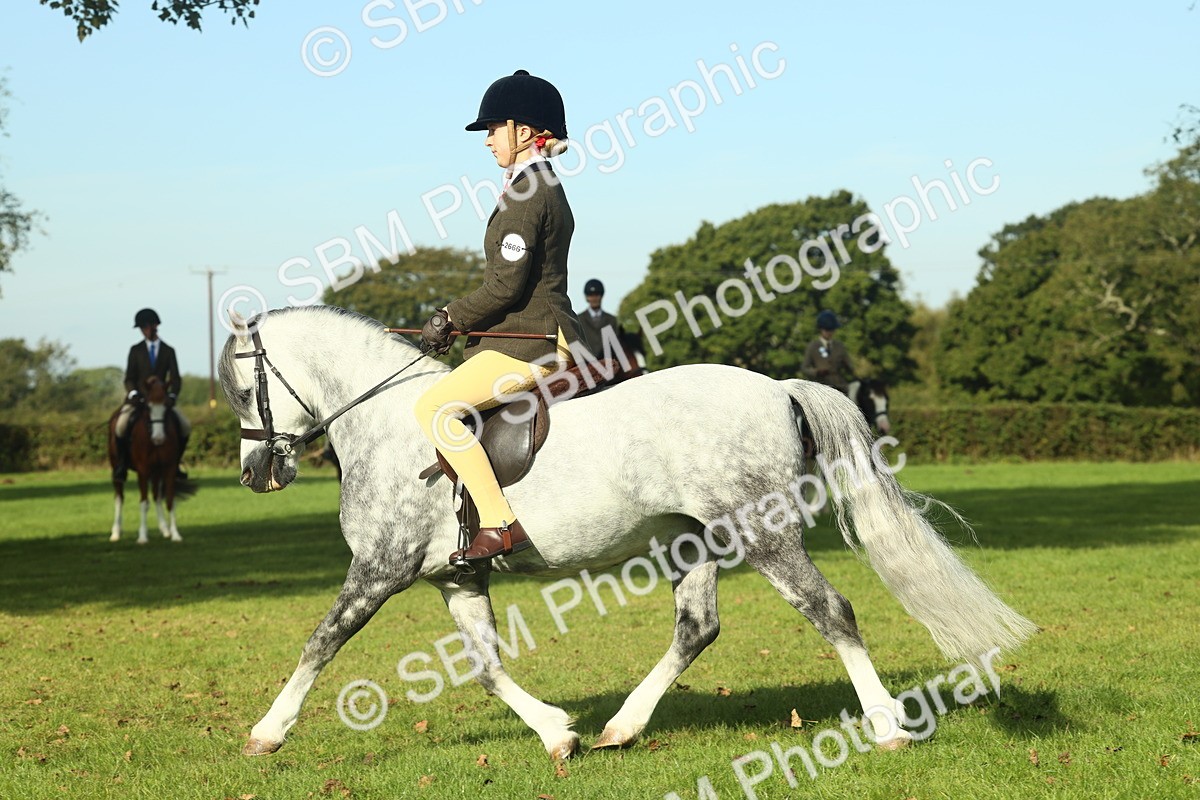 SBM_59891 - S38 - Starters Ridden Showing