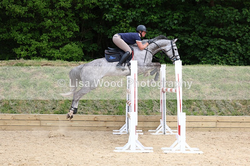 3E7A7431 - Class 8: Senior Foxhunter/1.20 open