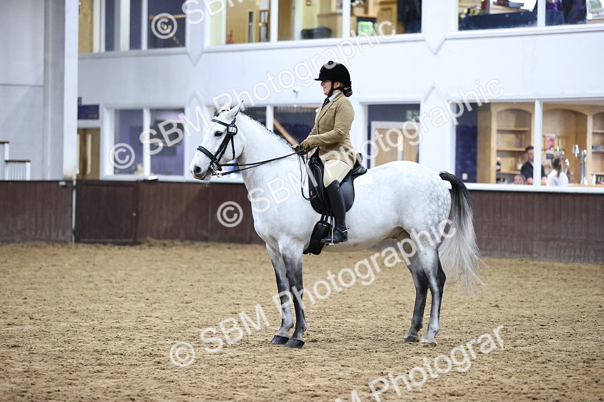 SBM_6360 - Class 45-42 - Ridden Irish Breeds-Ridden Cob