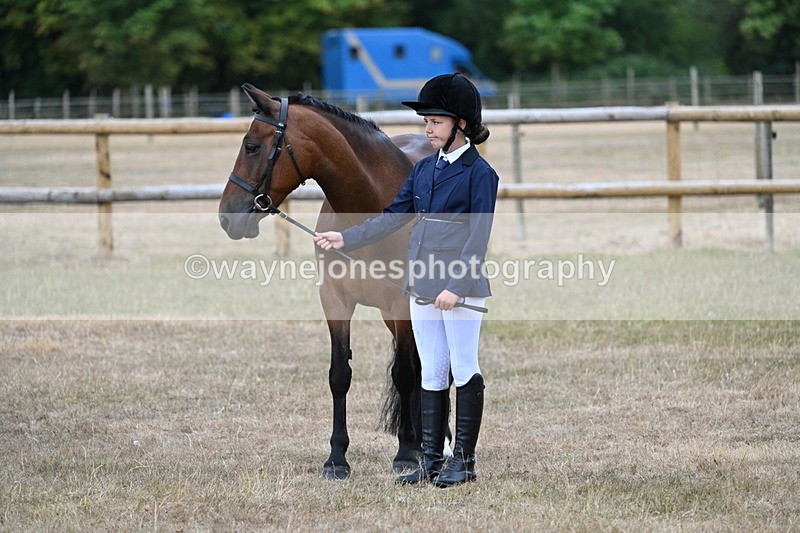 WJ7_9490 - Class 5 Most Handsome Gelding (up to 14.2hh)