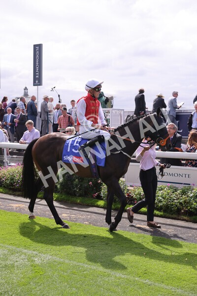 yr17082022r1-025 - Race 1 1.50pm Sky Bet & Symphony Group Stakes