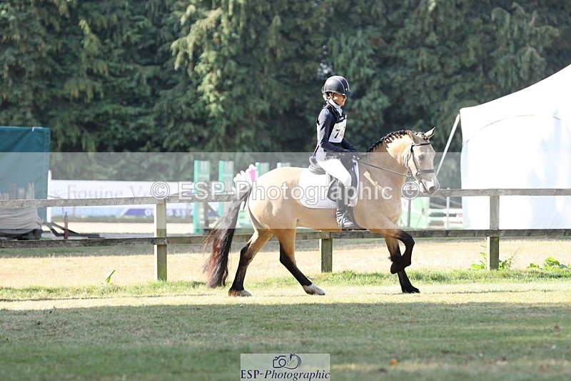 250823A-095113-26945 - Arena C