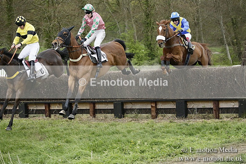 PtP 170417 539 - Old Berks Point-to-Point Lockinge 17/04/17