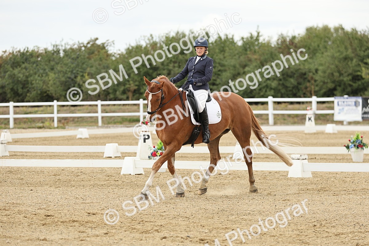 SBM_006646 - Class 21 - Medium 5 Bronze - 9.08-9.48