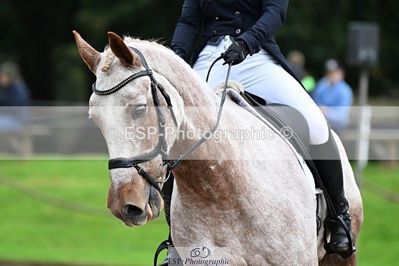 231019-112057-01790 - 038-IRISH.KONNECTION-Natasha.Anson-DR