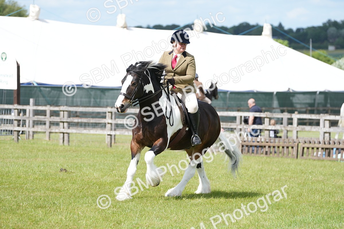 SBM_17294 - Class 107-108 - LIHS BSPS Performance Coloured Horse Pony