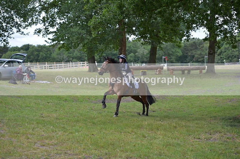 NGP_9178 - Time 12:34 to 12:37