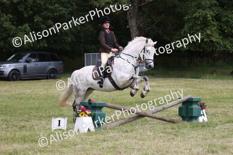 20260614-2988 - Class 22 - Open Working Hunter