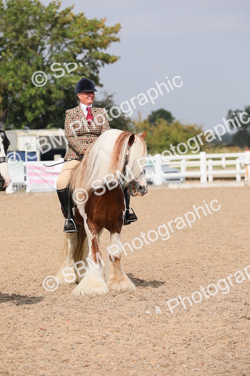 SBM_12836 - Class 307 Ridden Coloured Pony