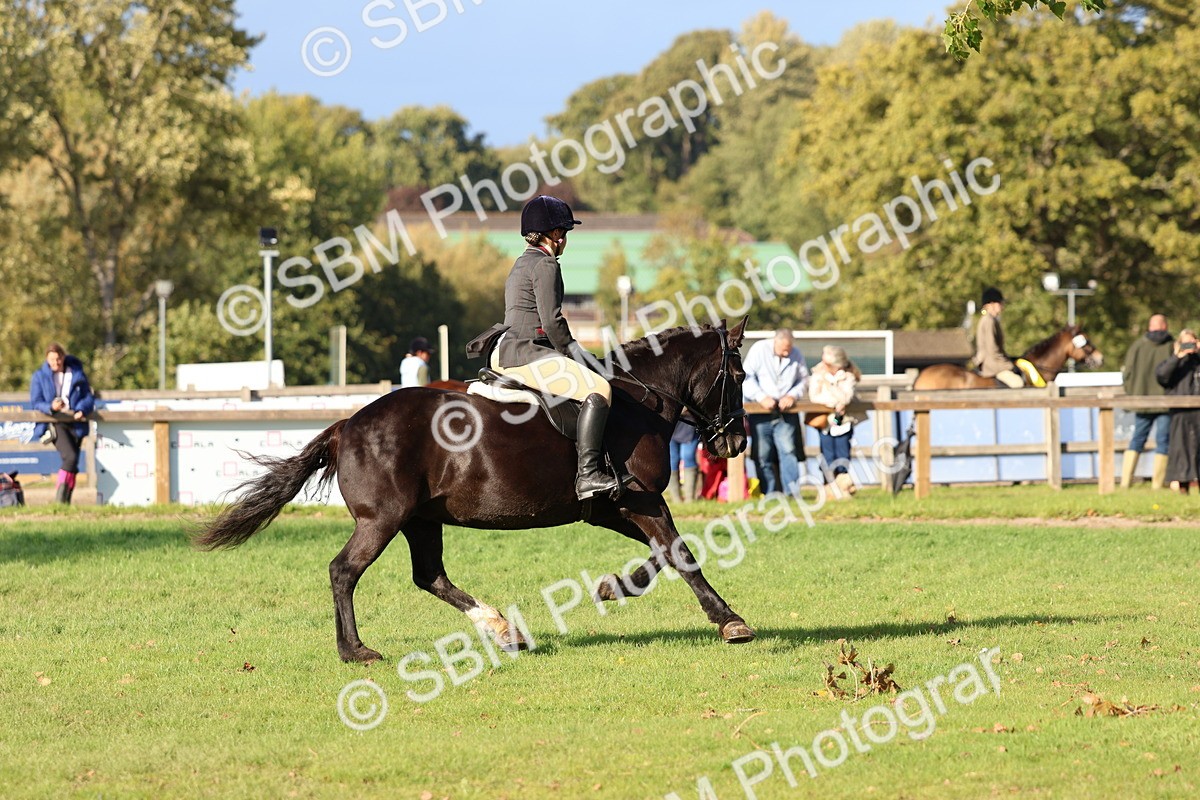 SBM_52524 - S13 - Pony Club Pony