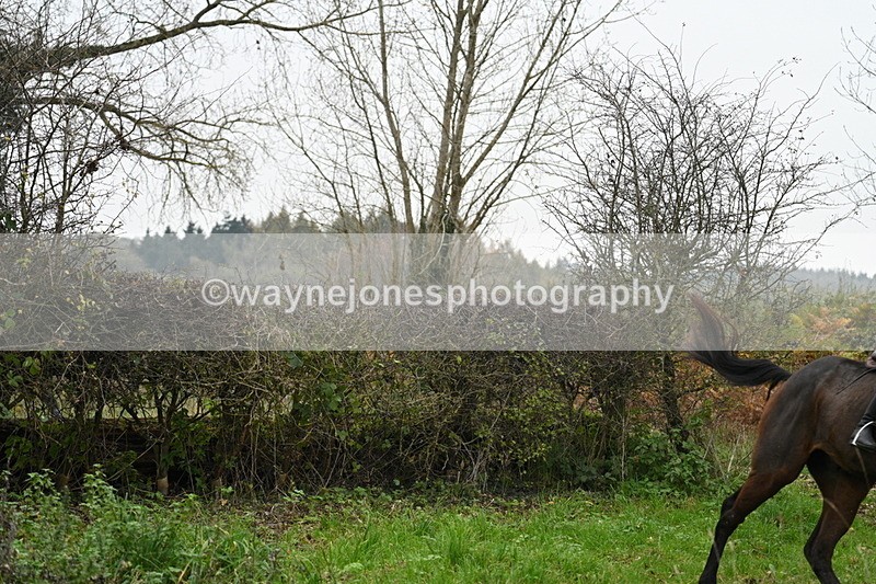 WJ7_7857 - Cam 1