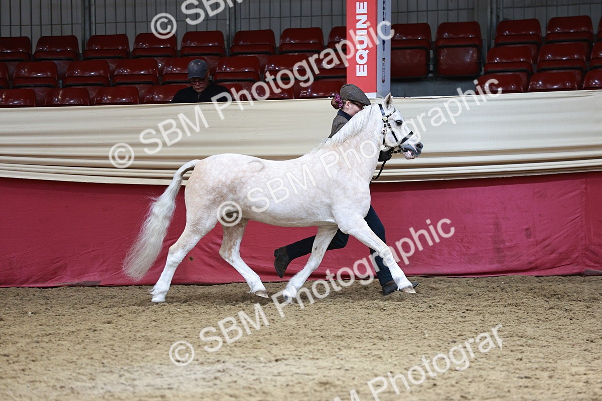 SBM_04675 - Class 7R - Regional IH Diamond