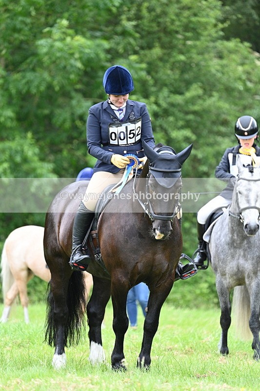 WJ7_4237 - Class 14A Handsome Gelding