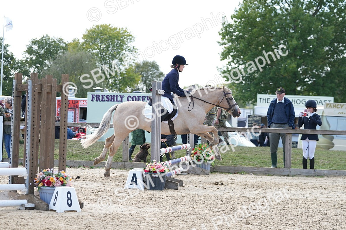 SBM_48502 - J7 - Junior Pony 60cm Championship