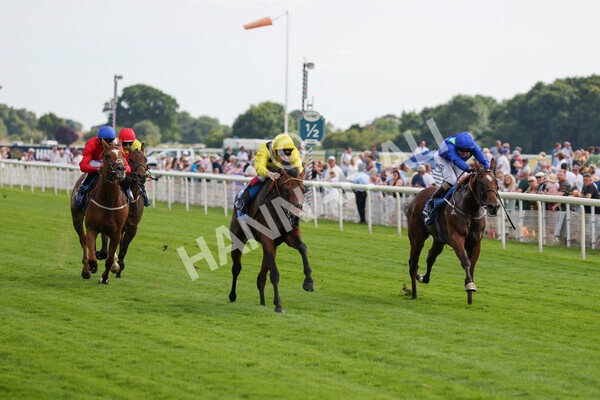 yr08072022r4-14 - Race 4 3.50pm William Hill Pick Your Places Stakes