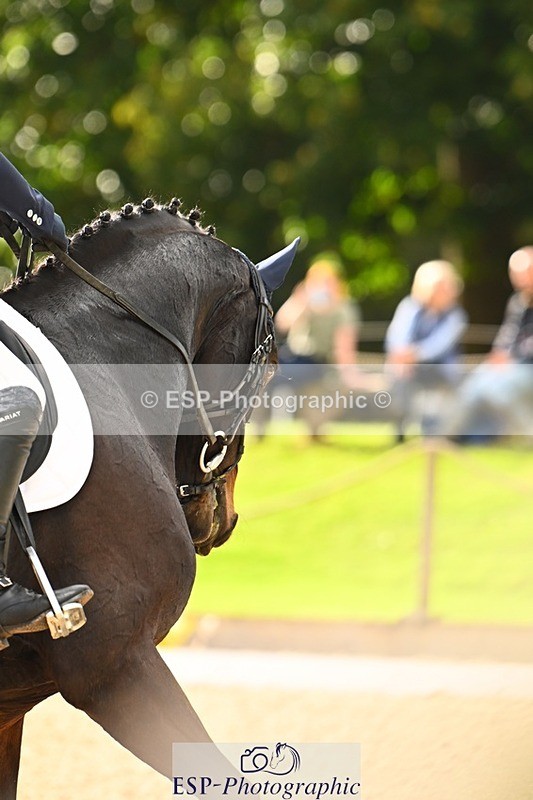 231020-142445-09942 - 307-WELLAN.GRAFFITI-Molly.Evans-DR