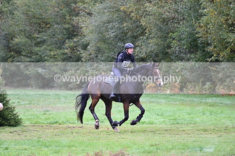 WJ7_5282 - Time 13:00 to 13:18