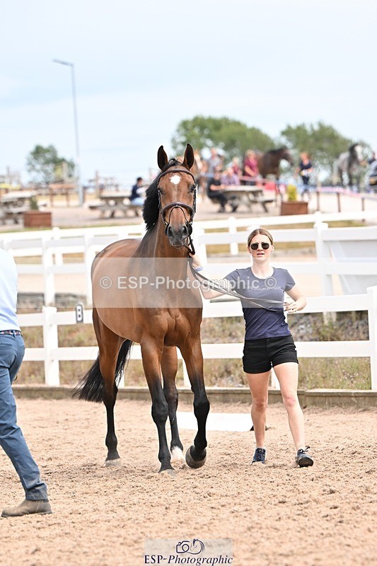 250716-153356-02017 - Trot Up 3.30 to 4.30