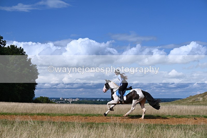 DSC_9992 - Time at Statue 15:11 to 15:58