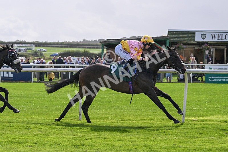 080926-Race 3-Battenburg Belle-2301 - Race 3 3.03pm Fifth Regiment Royal Artillery Handicap (Div I)