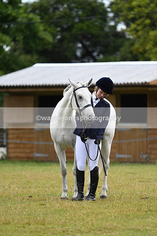 WJ7_6157 - Class 4a Prettiest Mare over 14hh
