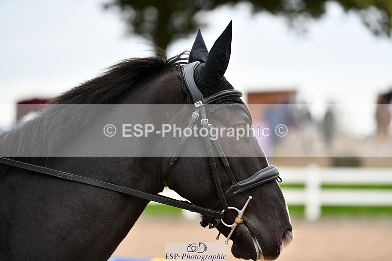 241013B-155010-02020 - Cls 6 80cm