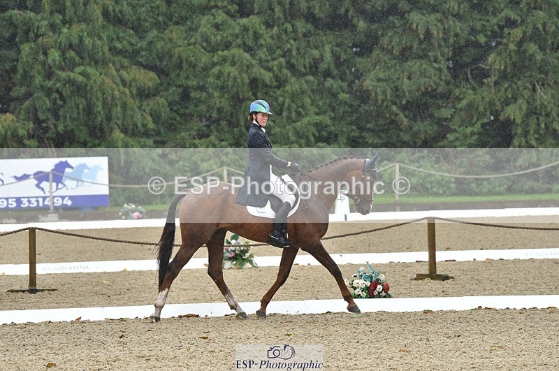 231018-143636-00605 - 002-CHILLI.BILL-Alicia.Wilkinson-DR