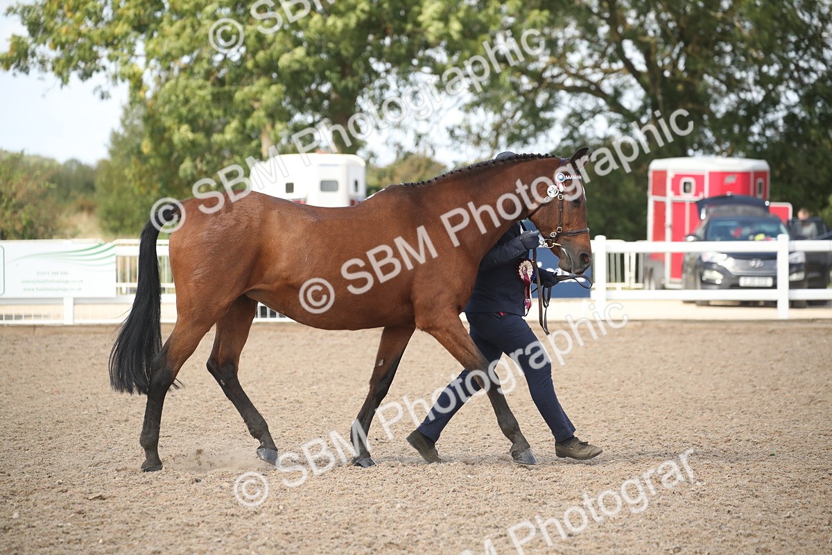 SBM_23499 - Class 604 - 2026 - Area IH Diamond