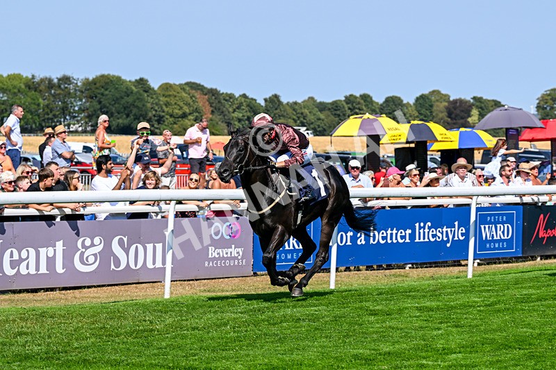 130826-Race 2-Concert Pitch-8370 - Race 2 14.45pm Welcome Racing TV Club Members Nursery Handicap